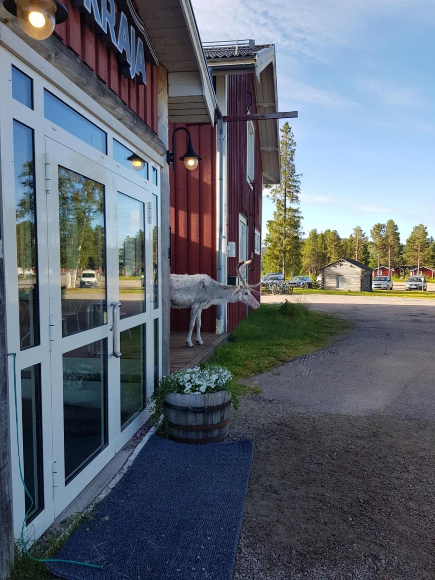 Kraja Hotel Arjeplog Ngoại thất bức ảnh