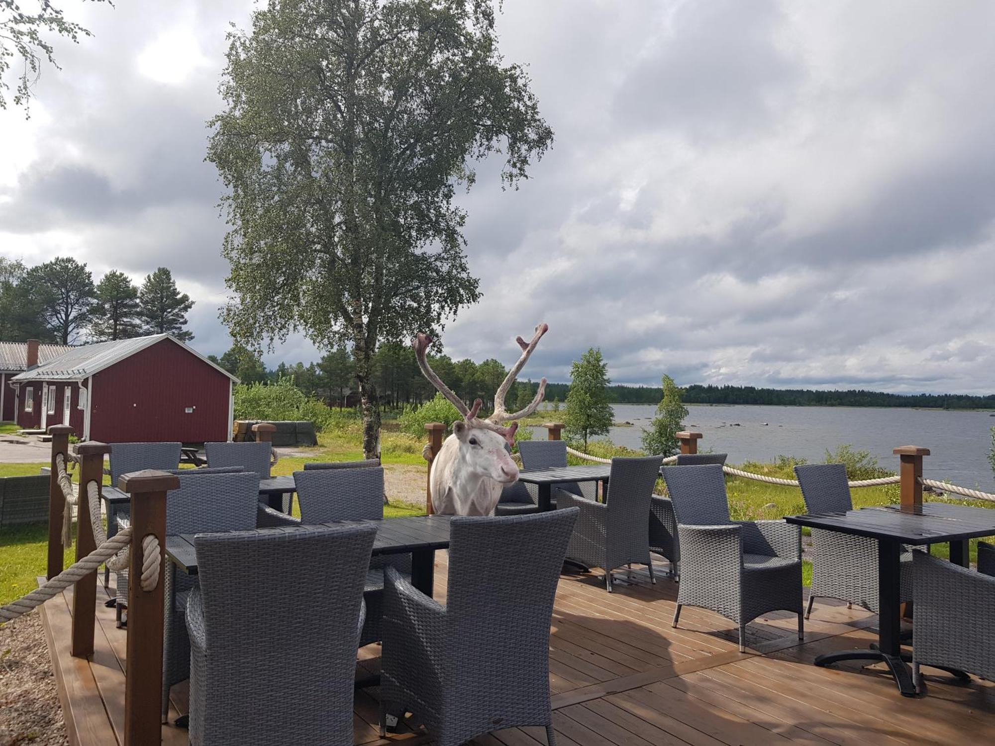 Kraja Hotel Arjeplog Ngoại thất bức ảnh